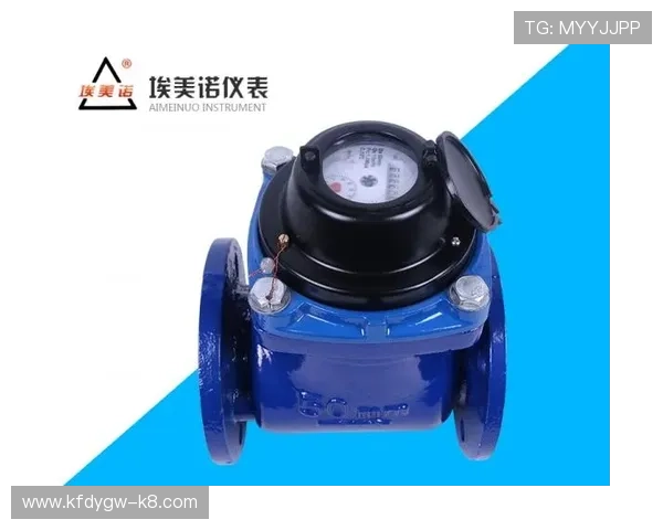 K8凯发国际官网:详解平台的支付方式与快速提款流程保障玩家资金安全 K8凯发国际官网:详解平台的支付方式与快速提款流程保障玩家资金安全