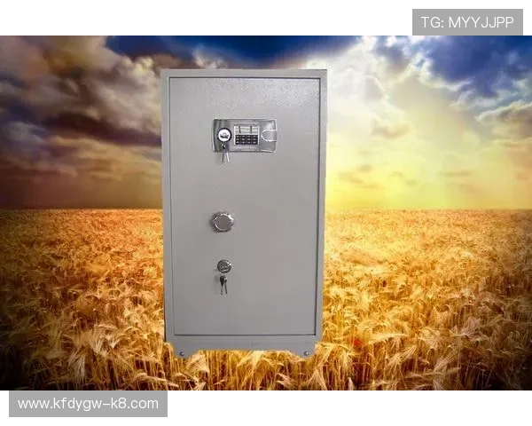 构建理想游戏平台：凯发K8在线注册平台的优势与注册指南