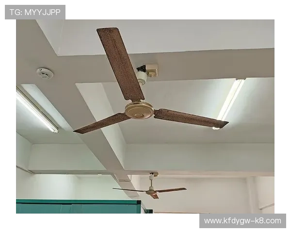 k8凯发官网入口官方入口网址更新，帮助玩家及时获取最新登录链接